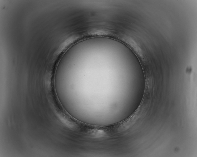 X0000102010159200807251317