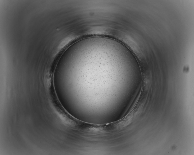 X0000102010160200807251317
