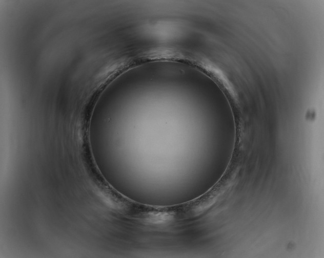X0000102010161200807251317