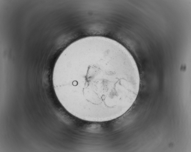 X0000102010162200807251317