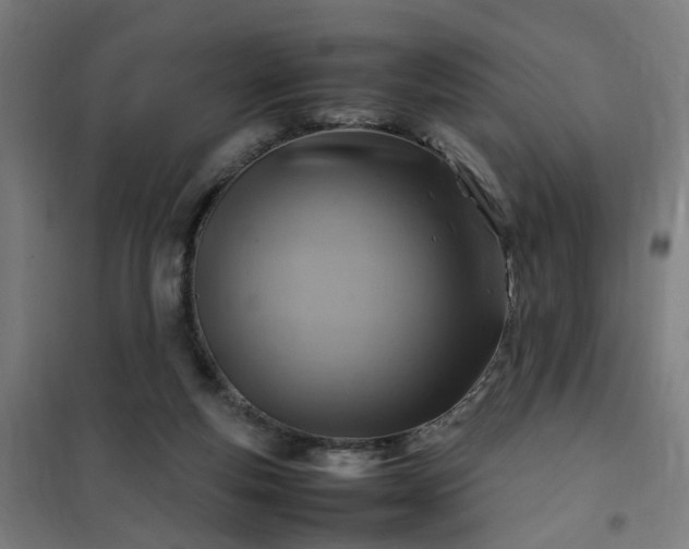 X0000102010163200807251317