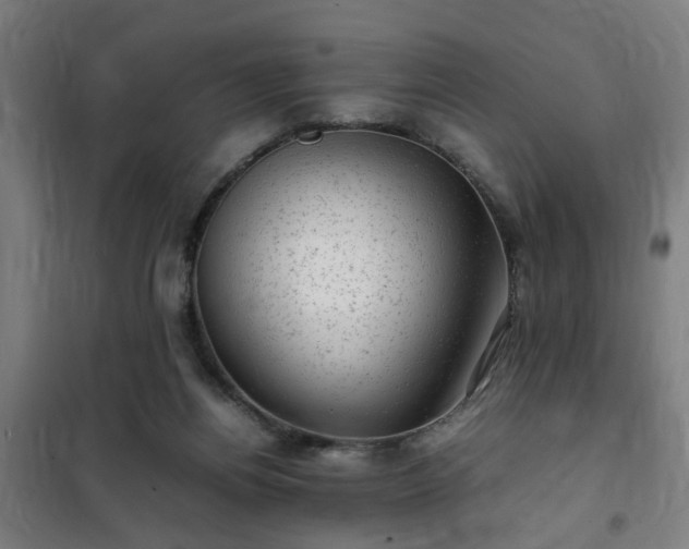 X0000102010164200807251317