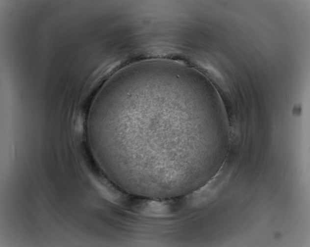 X0000102010166200807251317