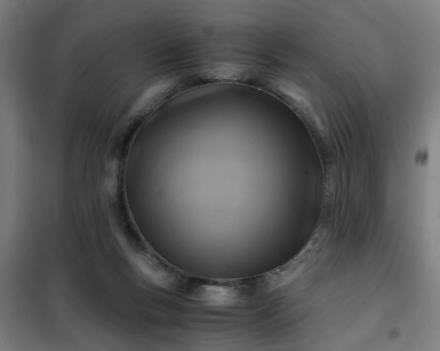 X0000102010167200807251317