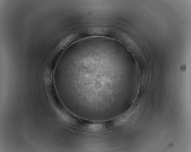 X0000102010168200807251317