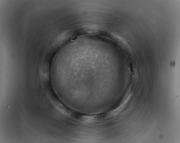 X0000102010170200807251317