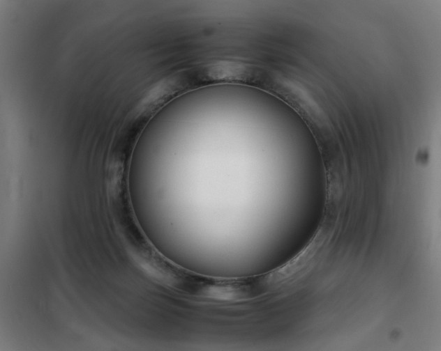 X0000102010171200807251317