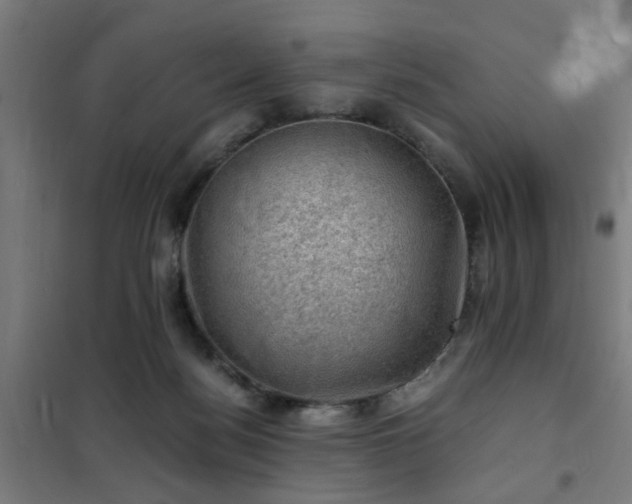 X0000102010172200807251317