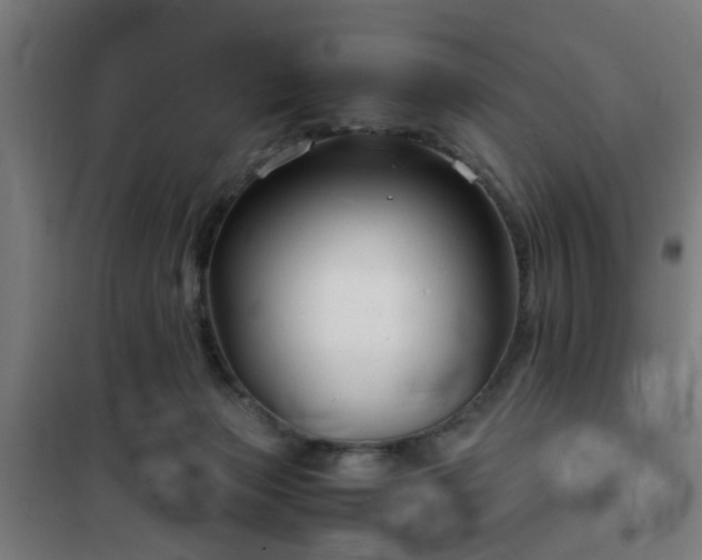 X0000102010173200807251317