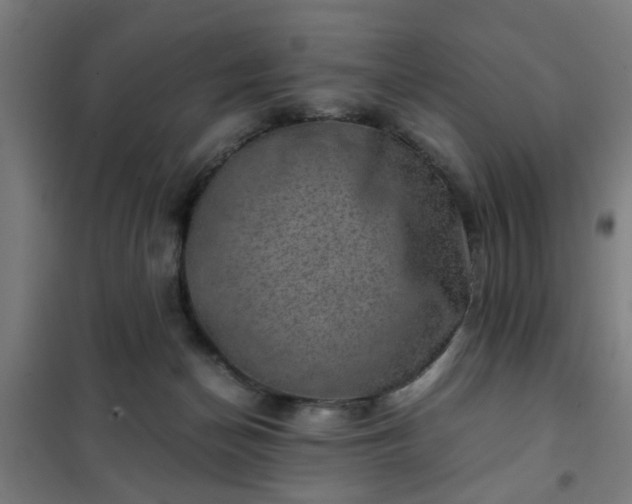 X0000102010174200807251317