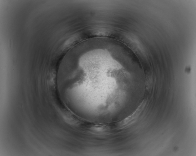 X0000102010175200807251317