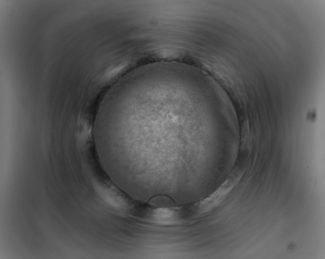 X0000102010176200807251317