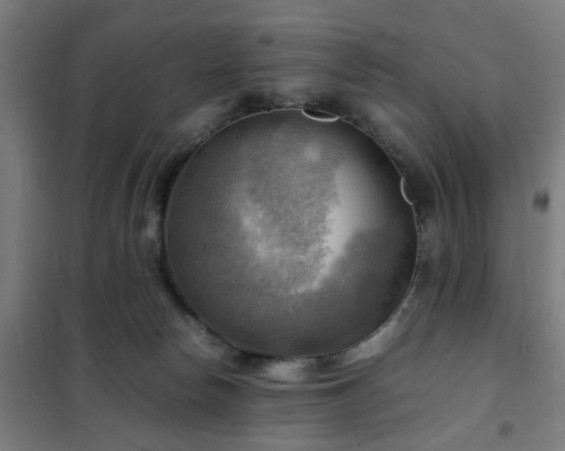 X0000102010178200807251317
