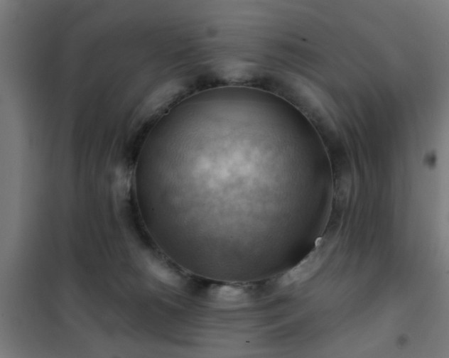 X0000102010180200807251317