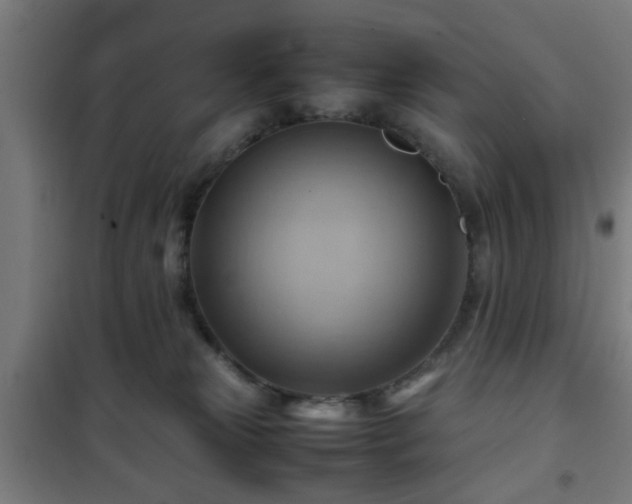 X0000102010181200807251317