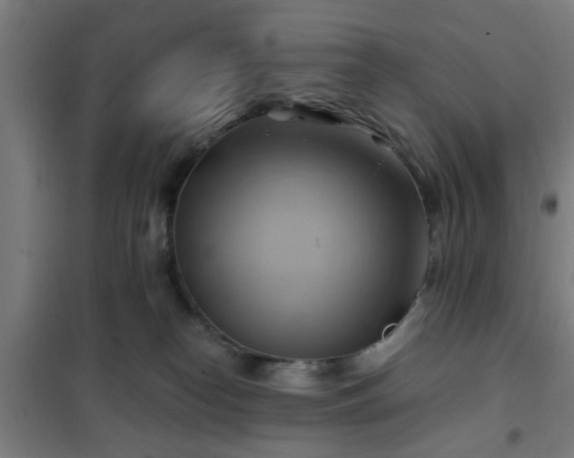 X0000102010182200807251317