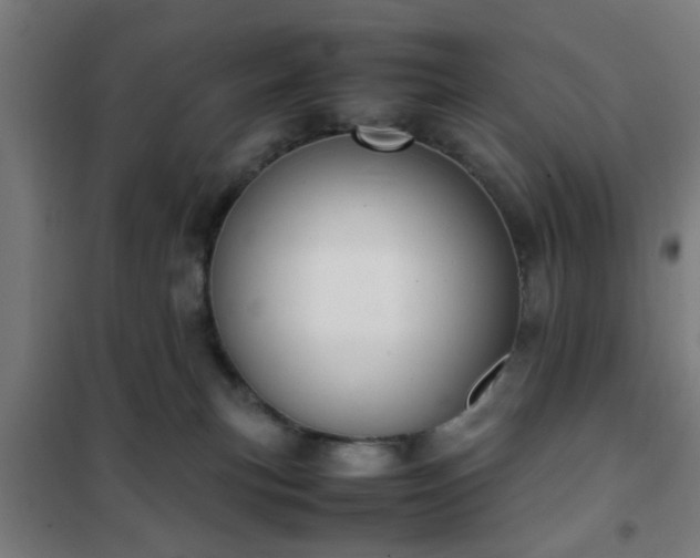X0000102010183200807251317