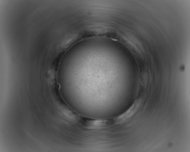 X0000102010184200807251317