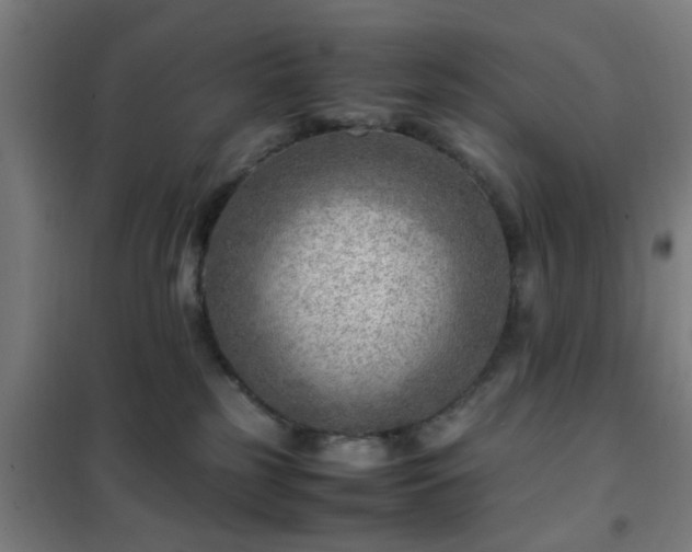 X0000102010185200807251317