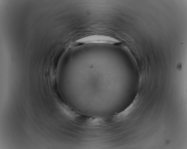 X0000102010186200807251317