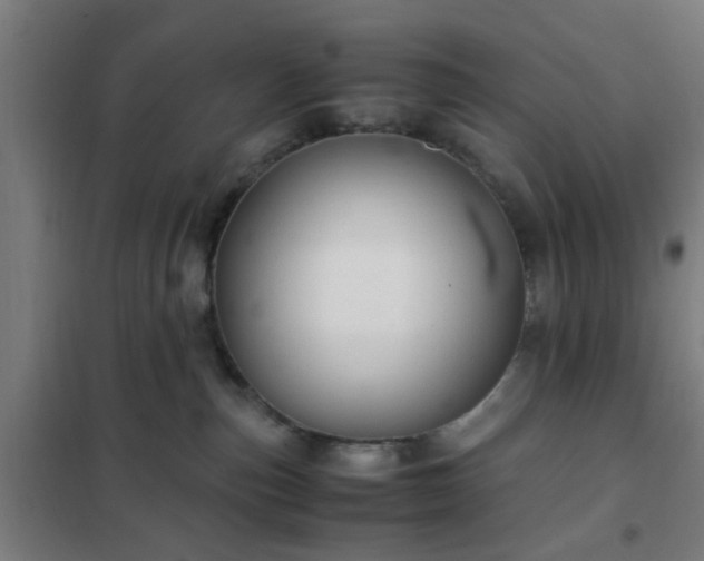 X0000102010187200807251317