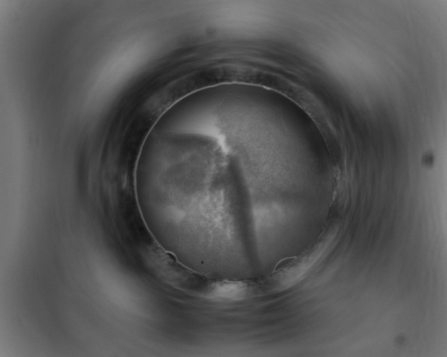 X0000102010189200807251317