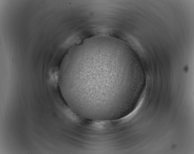 X0000102010190200807251317