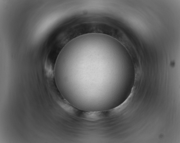 X0000102010191200807251317
