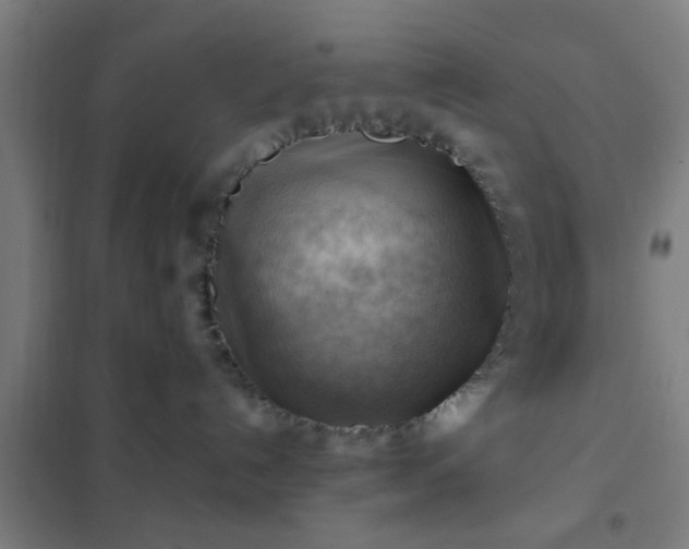 X0000102010192200807251317