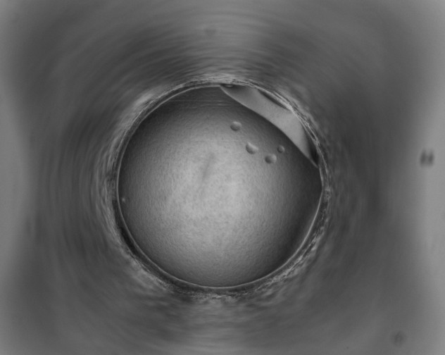 X0000102010193200807251316