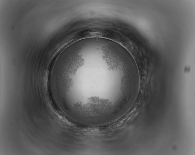 X0000102010194200807251316