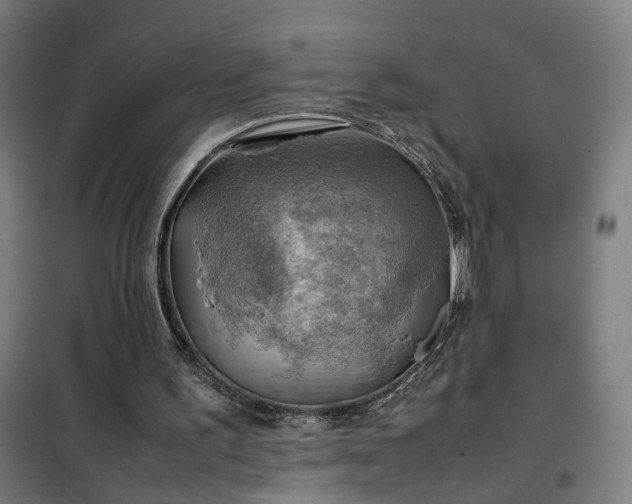 X0000102010195200807251316
