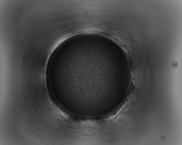 X0000102010196200807251316
