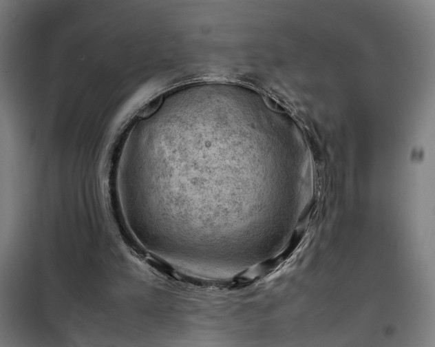 X0000102010197200807251316