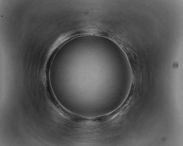 X0000102010198200807251316