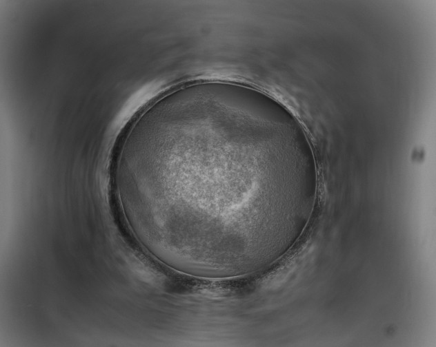 X0000102010199200807251316