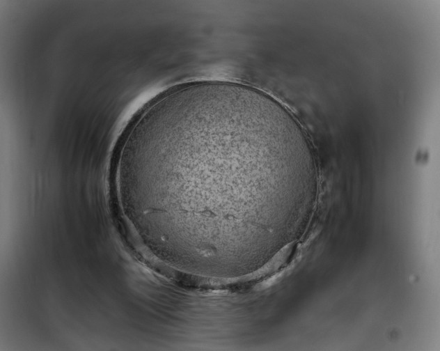 X0000102010200200807251316