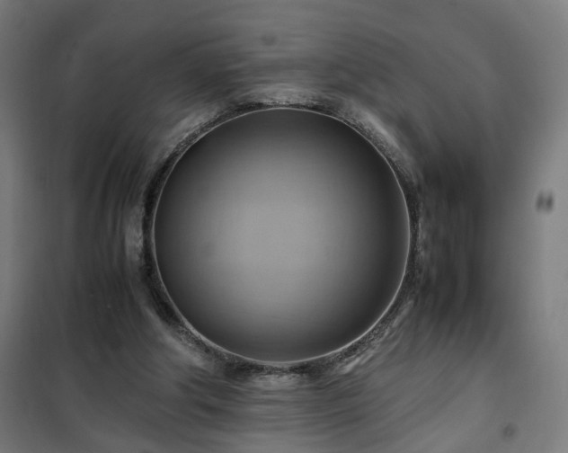 X0000102010202200807251316