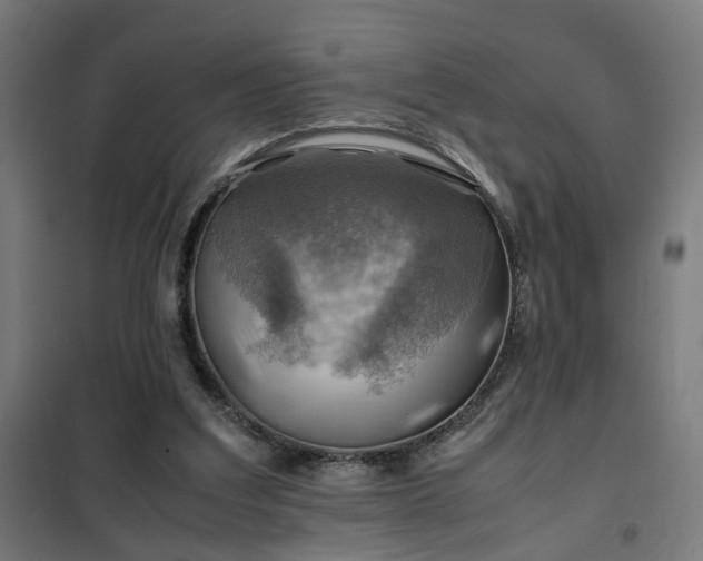 X0000102010203200807251316