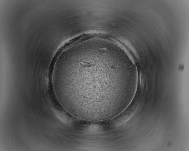 X0000102010204200807251316