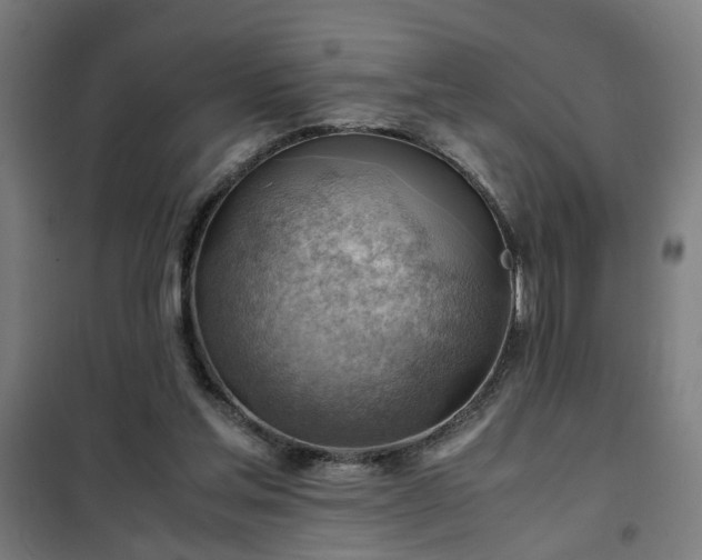 X0000102010205200807251316