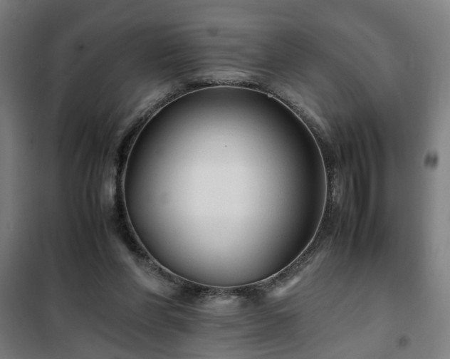 X0000102010206200807251316