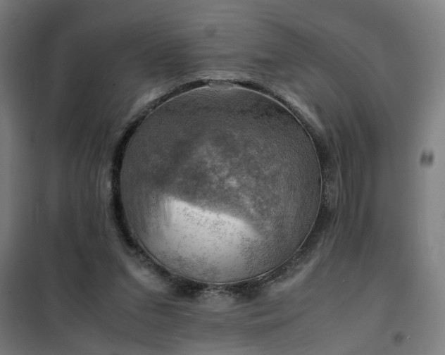 X0000102010207200807251316