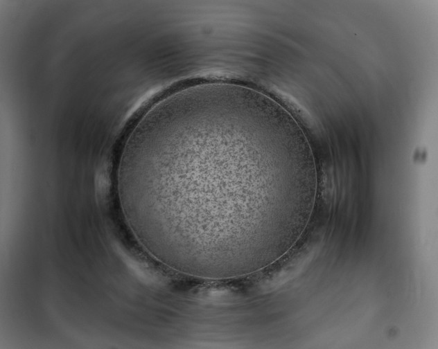 X0000102010208200807251316