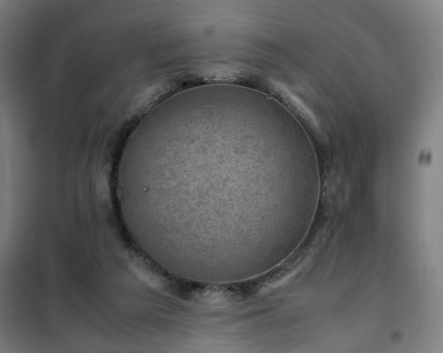 X0000102010209200807251316
