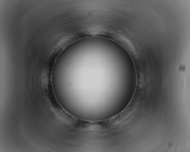 X0000102010210200807251316