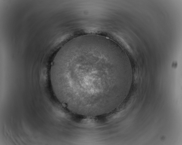 X0000102010211200807251316
