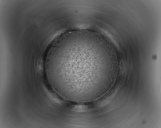 X0000102010212200807251316