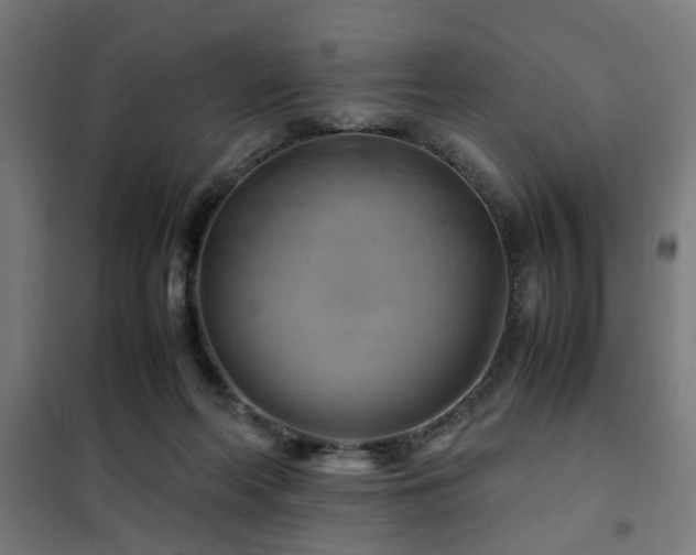 X0000102010214200807251316