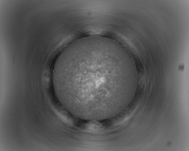 X0000102010215200807251316